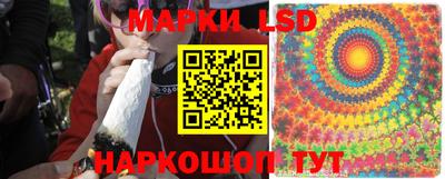 прущий лед Донецк