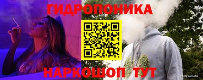 стаф Донской