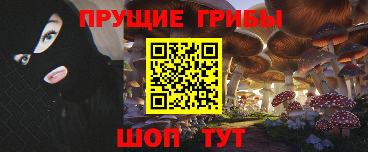 Псилоцибиновые грибы прущие грибы Майский